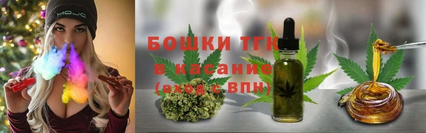 стафф Богданович